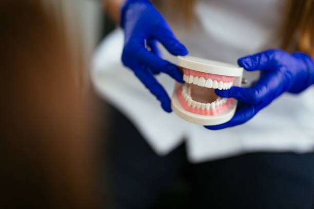 Best Preventive Dentistry  in Rockdale, IL